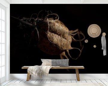 Dried-out Flower by Patrick Mertens aka Pat Probleme