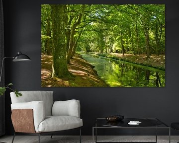 De groene rivier in Bergen in Noord-Holland van Tanja Voigt