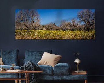 Champ de tournesols sur Harold van den Hurk