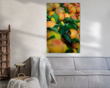 La récolte des agrumes en couleur sur 7.2 Photography