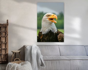 The Call of Freedom by Martin Mol