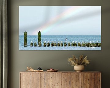 Regenboog en golfbreker in Zeeland van Marcel van Oene