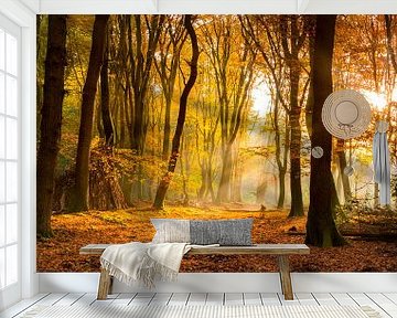 Sonnenlicht im Herbst Wald von Fotografie Egmond