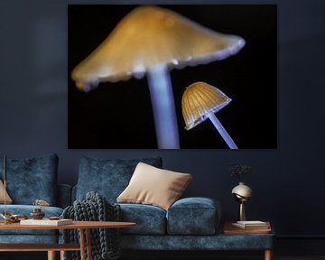 Tripping Mushroom
