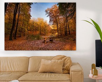 Bankje in herfst bos van Fotografie Egmond