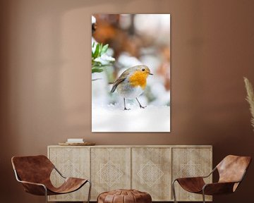 Roodborst wandelend in winter wonderland van birdwatching_veluwe by Mirjam Boeschen Hospers