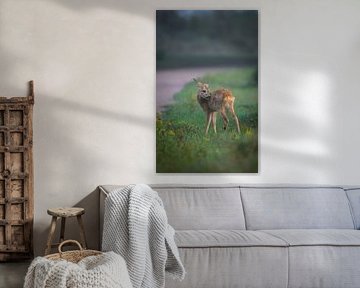fawn