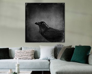 Mysterious portrait of a raven by Dirk Wüstenhagen