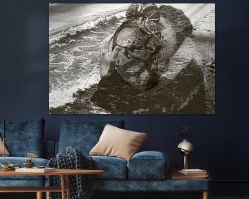 Dear Sea, by True Color Stories