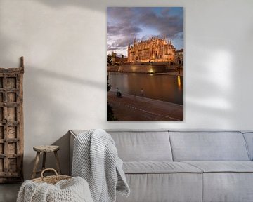 De kathedraal van Palma de Mallorca bij nacht van t.ART