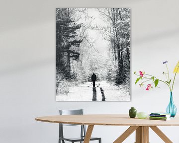 Winterwandeling op de Noord-Veluwe van Marcel van Oene