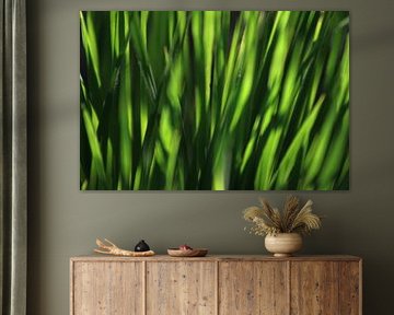 Helder groen  