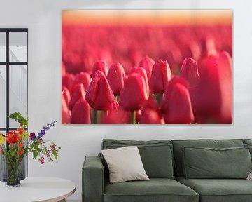 Roze tulpen van Anja van Deursen