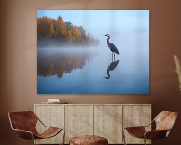 Ein Graureiher im herbstlichen Morgennebel  - Een blauwe reiger in de herfstachtige ochtendmist von Christina Bauer Photos