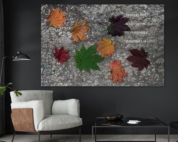 Buntes Herbstblätter auf steinigem Boden von Adri Vollenhouw