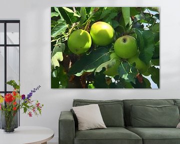 Appels aan de boom