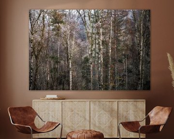 Forêt d'automne de conte de fées