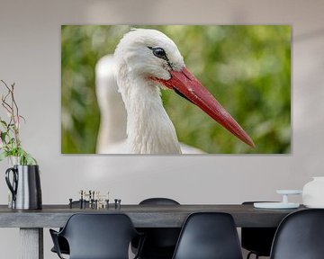 Close-up of a stork.