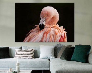 Portrait Flamant du Chili (Elégance en rose) sur Robert Jan Smit