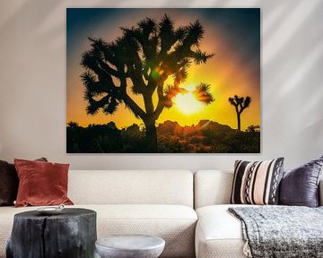 Coucher de soleil de Joshua Tree sur Dieter Walther