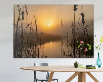 Zonsopkomst in de mist – Stilte tussen het riet in de Weerribben van KB Design & Photography (Karen Brouwer)