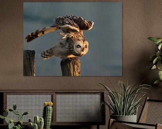 Aperçu de la chambre