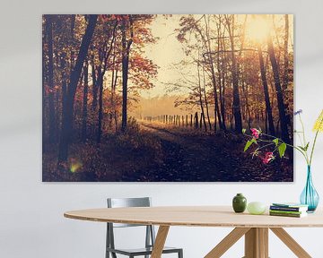 Herfst in het bos by Didden Art