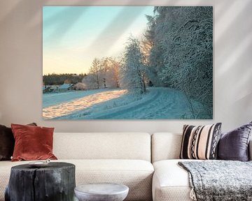 De prachtige kromming van de winter van Inspiration