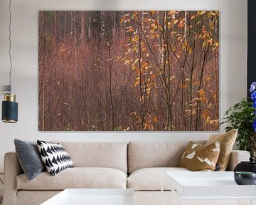 Fluisteringen van de herfst