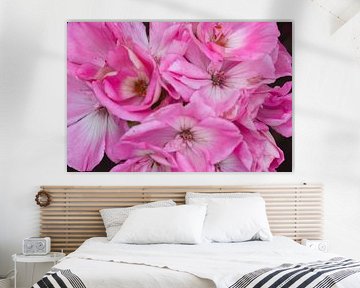 Fleurs roses dans le jardin