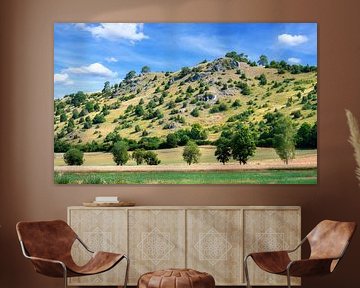 Das Naturschutzgebiet Trockenhänge bei Dollnstein von ManfredFotos