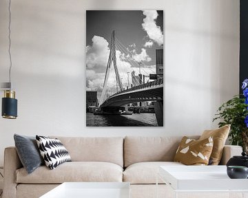 Pont Erasmus sur SVPhotographie