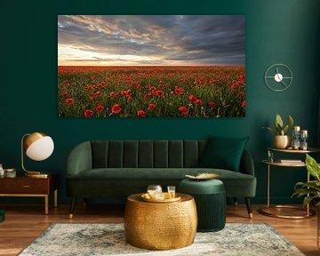 Mohnmeer im Sturmlicht – Exklusive Wandkunst