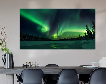 Noorderlicht reflectie in het winterse bos - Premium wanddecoratie
