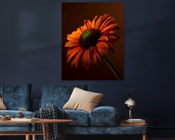 Een oranje Echinacea (Zonnehoed) met zijn bloem in het licht van Marjolijn van den Berg
