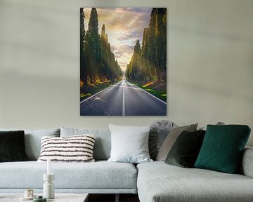 Bolgheri cipressen boulevard, Toscane van Stefano Orazzini