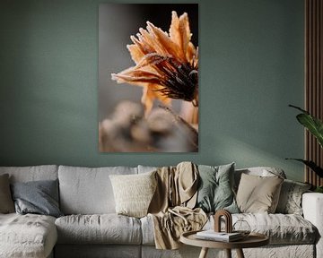 IJs op bloemblaadjes van Tina Leonarda Fotografie