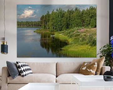 Paysage finlandais sur Yanuschka | Fotografie Noordwijk