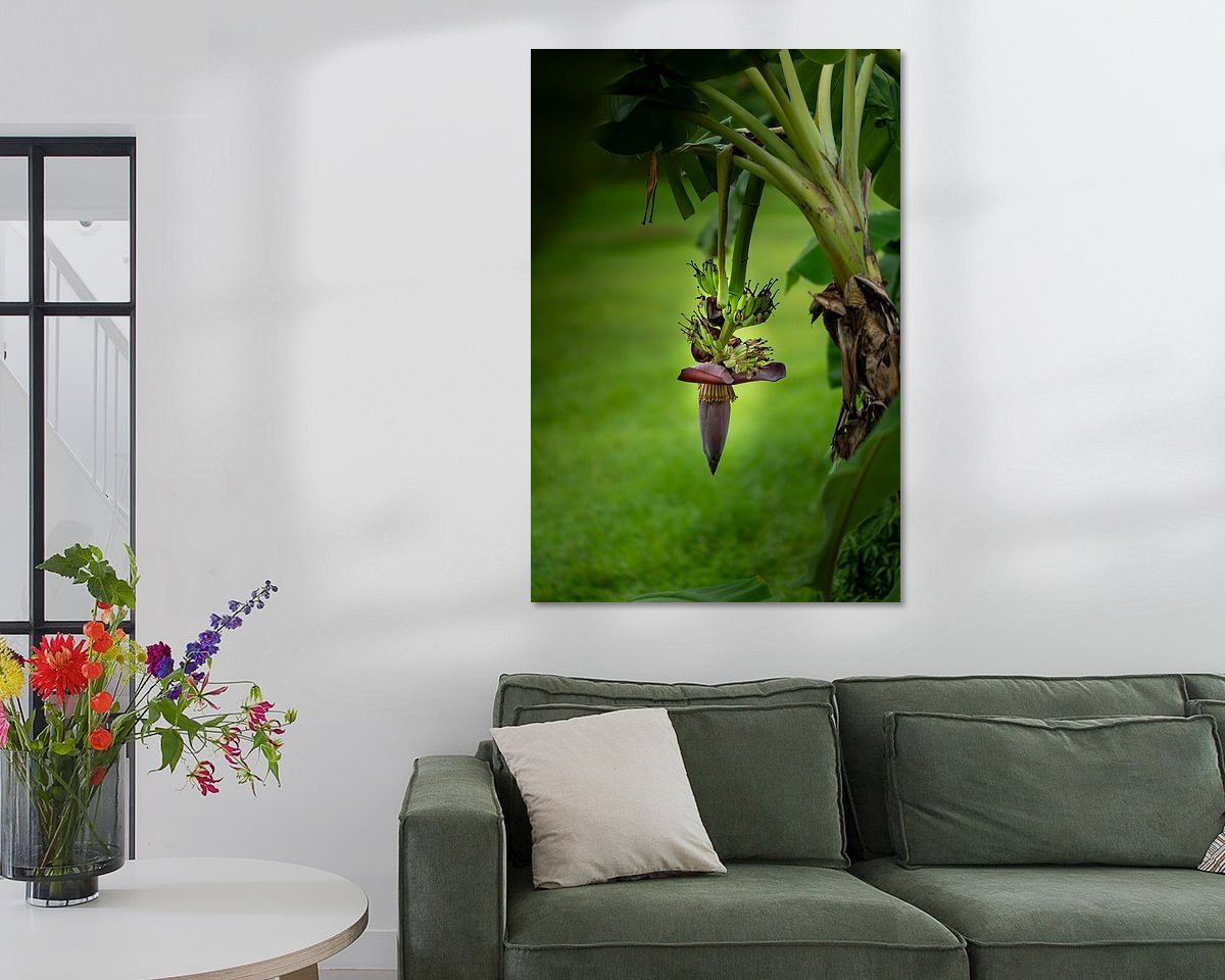 Raumvorschau
