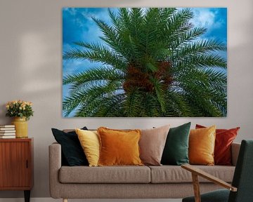 Dadelpalm onder Thaise Hemel van Franklin Driessen