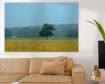 Jours de pluie sur John Goossens Photography