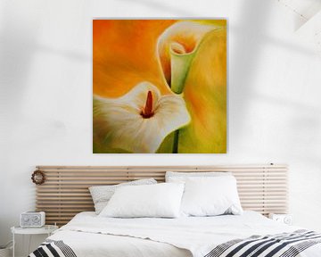 In het licht van de calla van MFO_Art