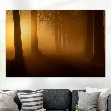 Verwunschene Allee der Bäume von Moetwil en van Dijk - Fotografie