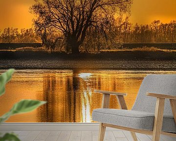 Gespiegelde boom in het water tijdens zonsondergang