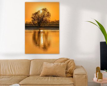 Mirrored tree in the water during sunset by Harrie Muis