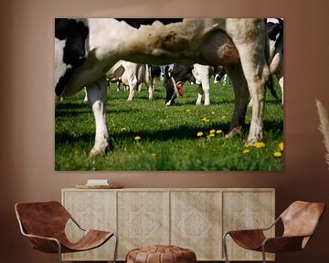 Koeien in de wei van Jan Sportel Photography