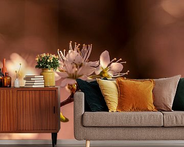 Frühlingsblüte: Blüten in weichem Licht von Nederlandschap