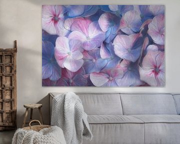 Hydrangea Love