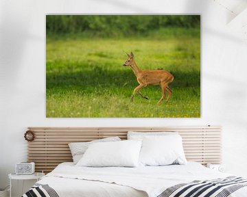 Ziege auf einer Wiese von John van de Gazelle fotografie