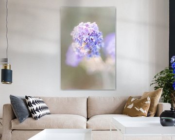 Close up of purple flower